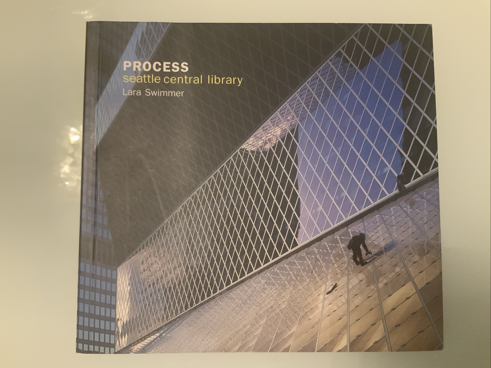PROCESS: Seattle Central Library – Lara Swimmer