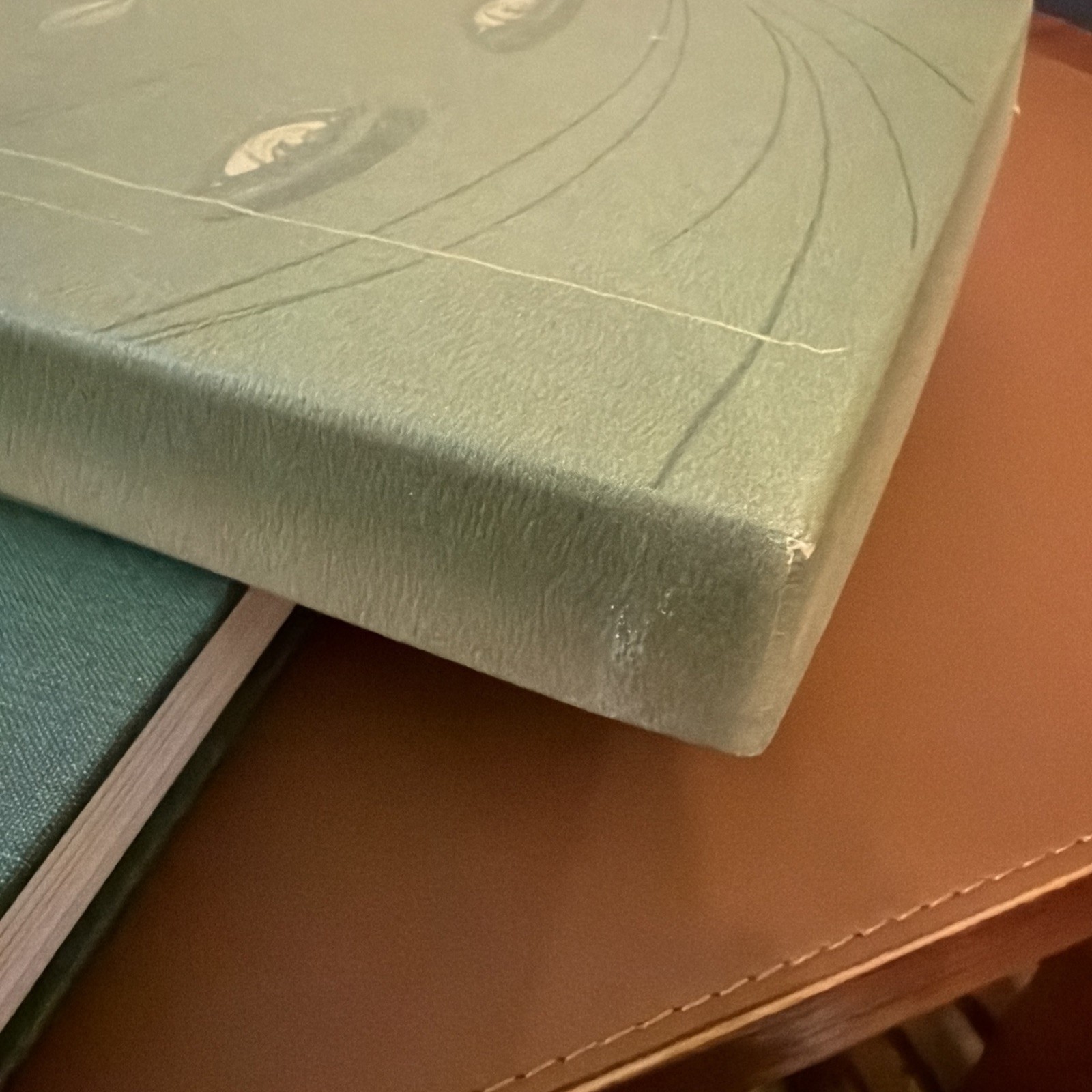 The Great Gatsby : 2004 Privately Published Collectible Hardcover Edition w/ DVD