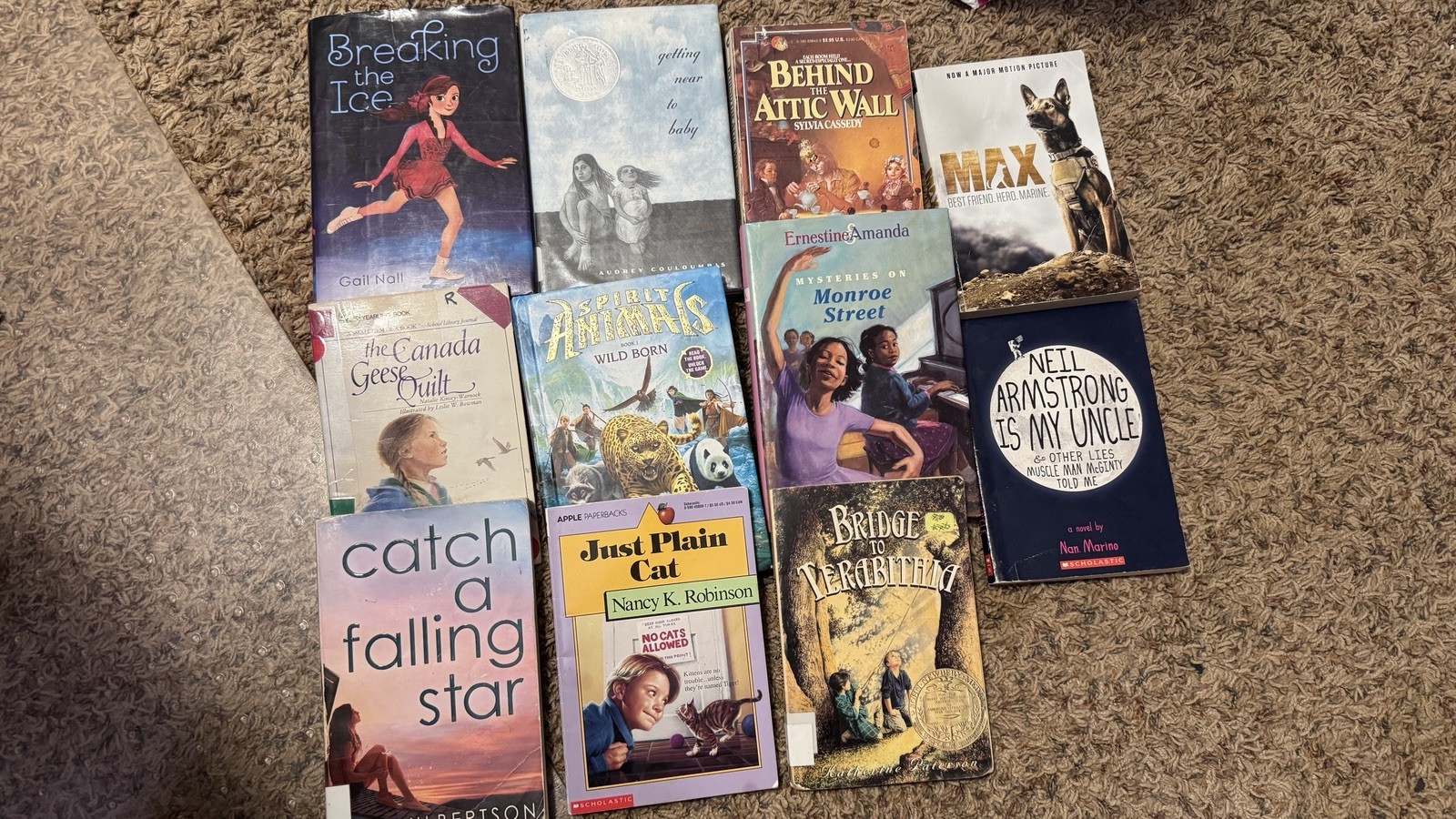Lot of 11 Chapter Books for GIRLS Youth Reader, Young Adults RANDOM