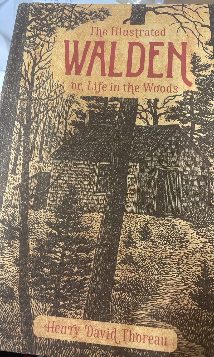 The Illustrated Walden, or Life in the Woods by Henry David Thoreau Fall River