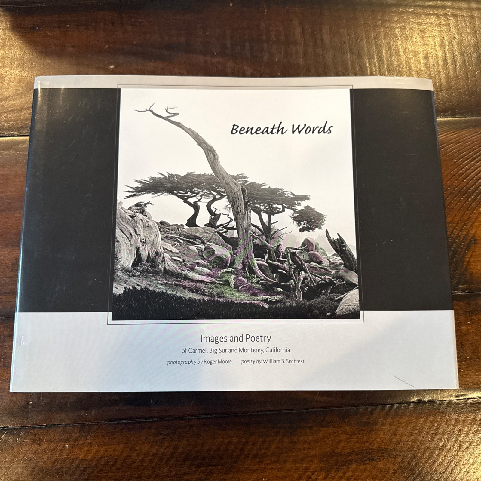 SIGNED x2 Beneath Words: Images And Poetry of Carmel, Big Sur and Monterey 1st