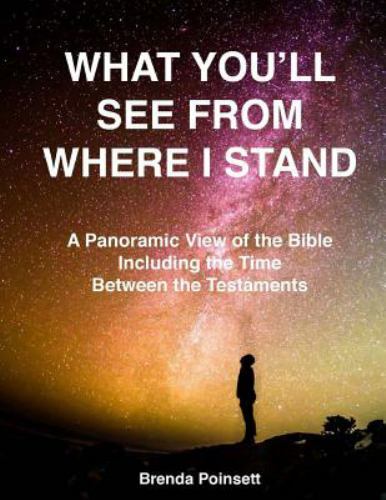 What You’ll See From Where I Stand: A Panoramic View of the Bible Including…
