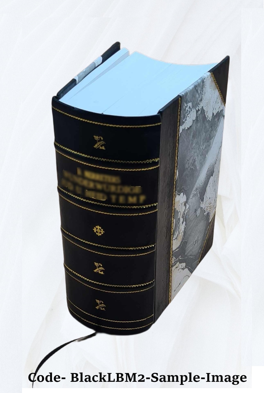 ???? ????????? ????????? ?? ?????? ???????? ??????? ??????? ???? [Leather Bound]