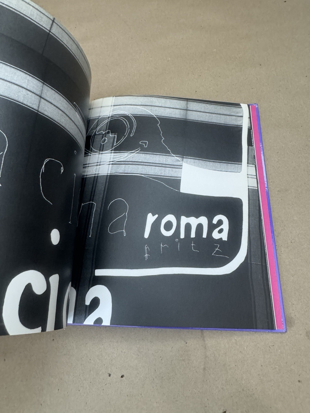 Fondorientierte Ausstattung (Cosima von Bonin, Elisabeth Fiedler) – Konzeptkunst