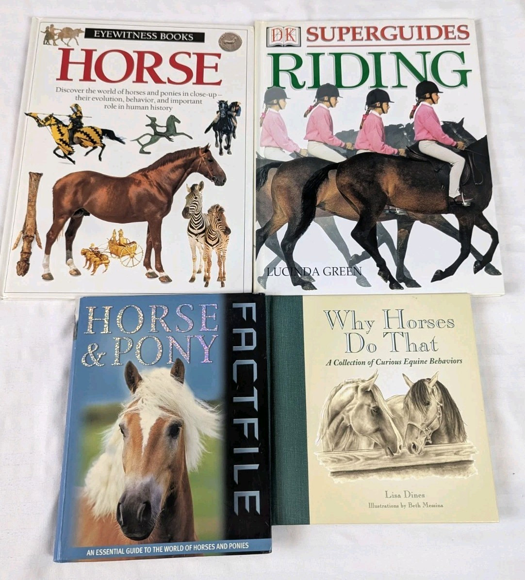 Horse Pony Equestrian Riding Training Horsemanship Dressage Eventing Lot of 13