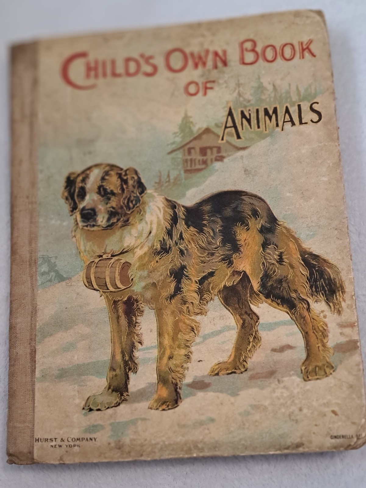 Child’s Own Book Of Animals. 1900’s Cinderella Series. Hurst & Co.
