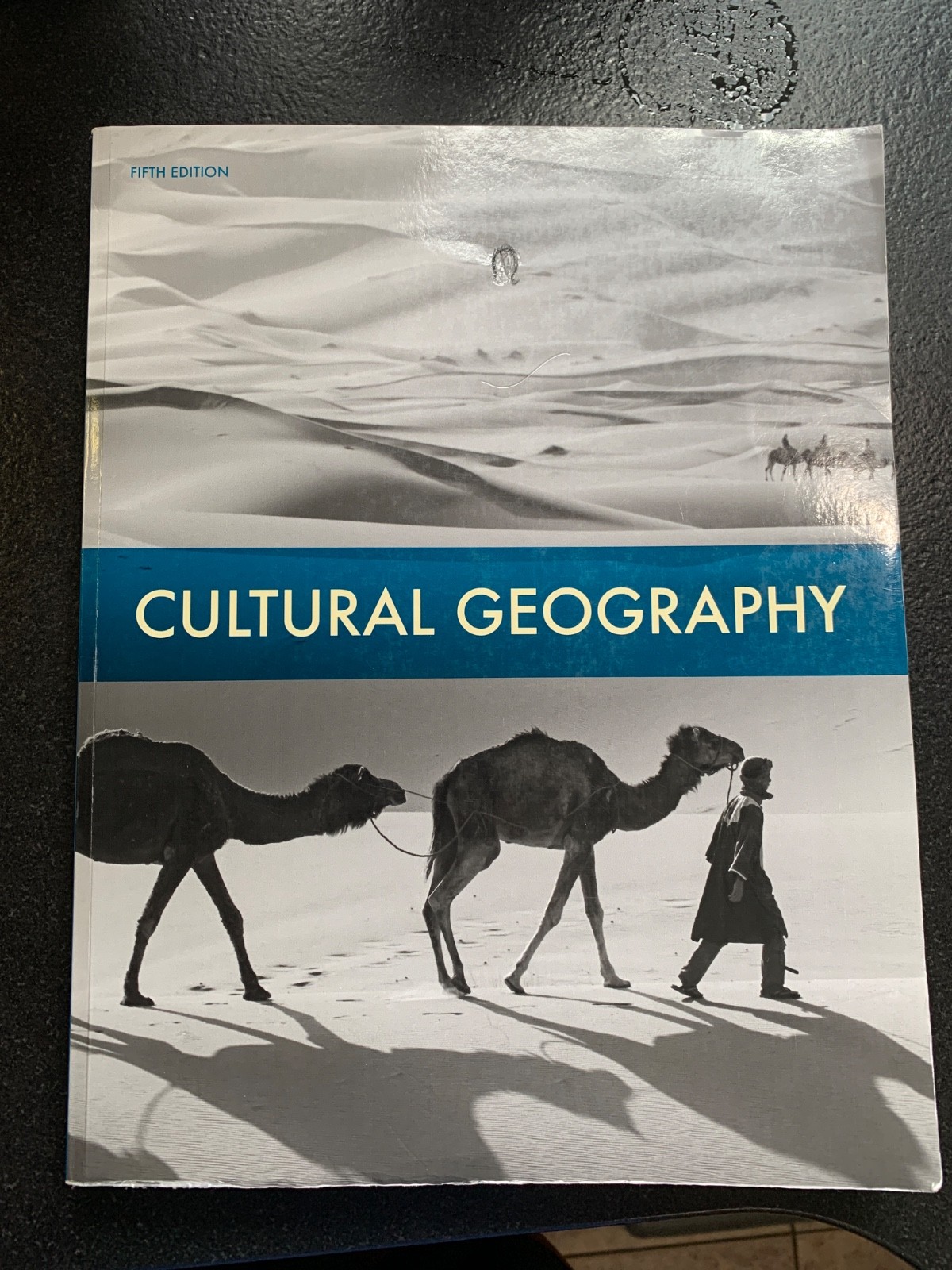 9th grade Cultural Geography 5th Ed. textbook BJU press soft cover