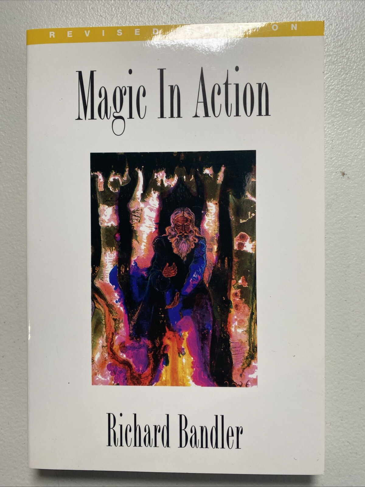 Magic in Action by Bandler, Richard; Bandler NLP