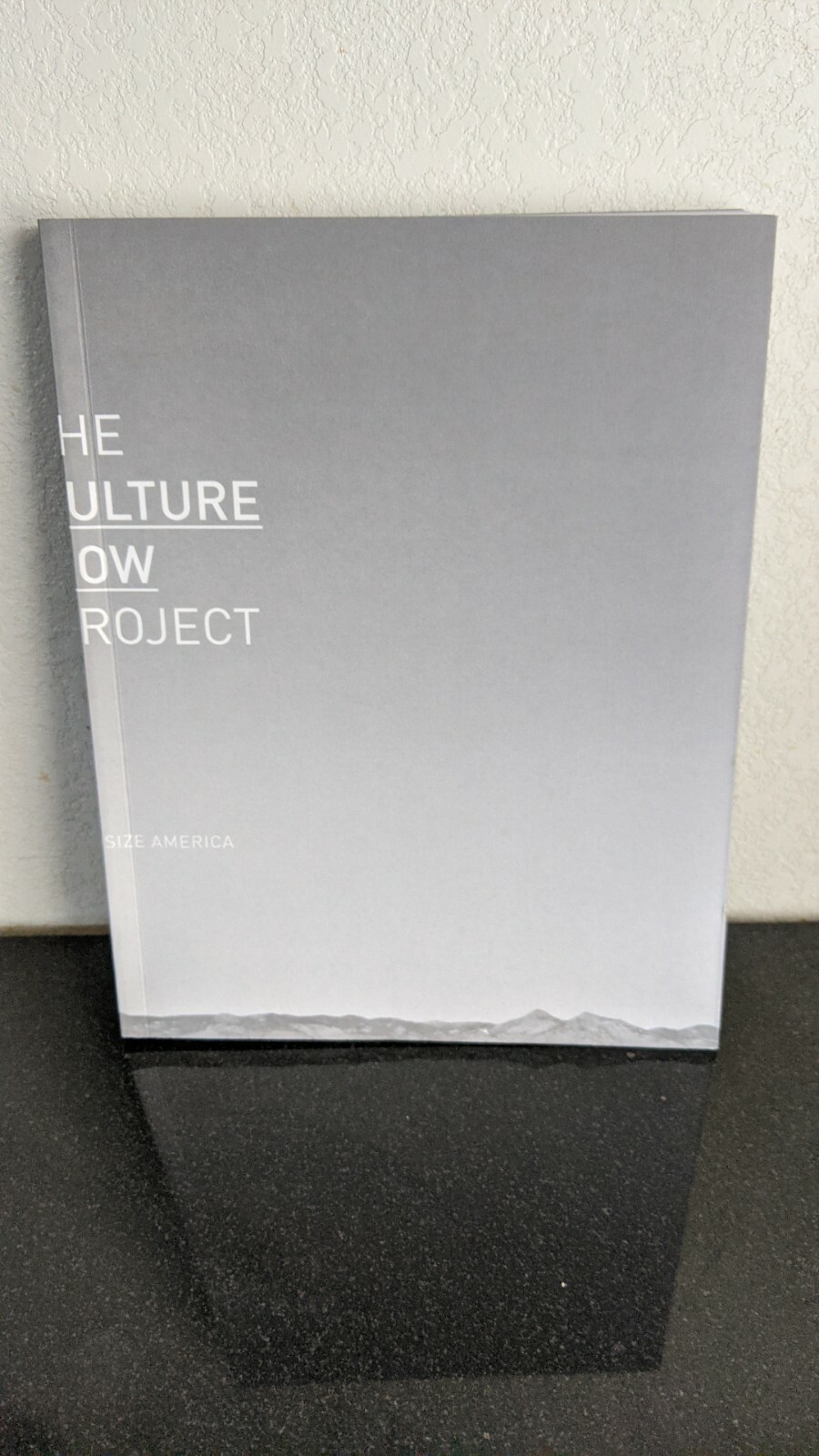 TCNP The Culture Now Project 1 Midsize America UCLA Suprastudio 2011-11 Lohrmann