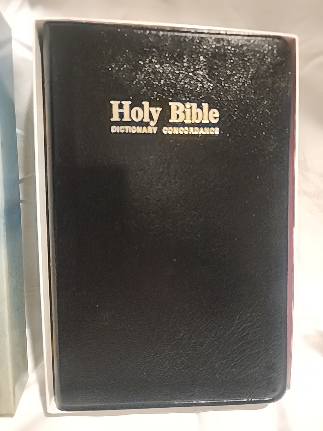 Holy Bible Dictionary Concordance KJV Red Letter Edition Genuine Leather LLP