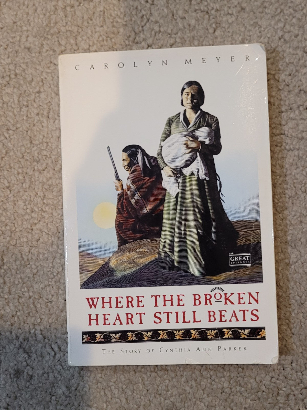 Where The Broken Heart Still Beats by Carolyn Meyer paperback