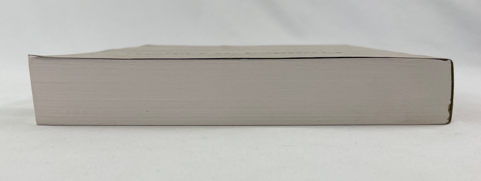 Branded as Rebels, Eakin & Hale, 1995, 2nd Printing with Corrections, Civil War