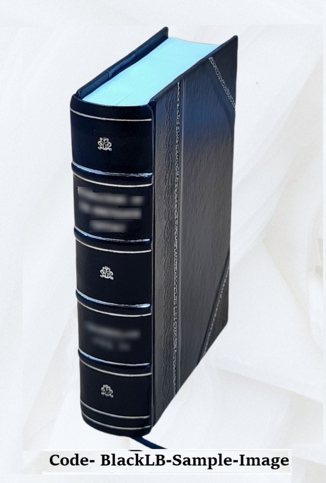 The Pro-Slavery Argument; As Maintained By The Most Distinguishe [Leather Bound]
