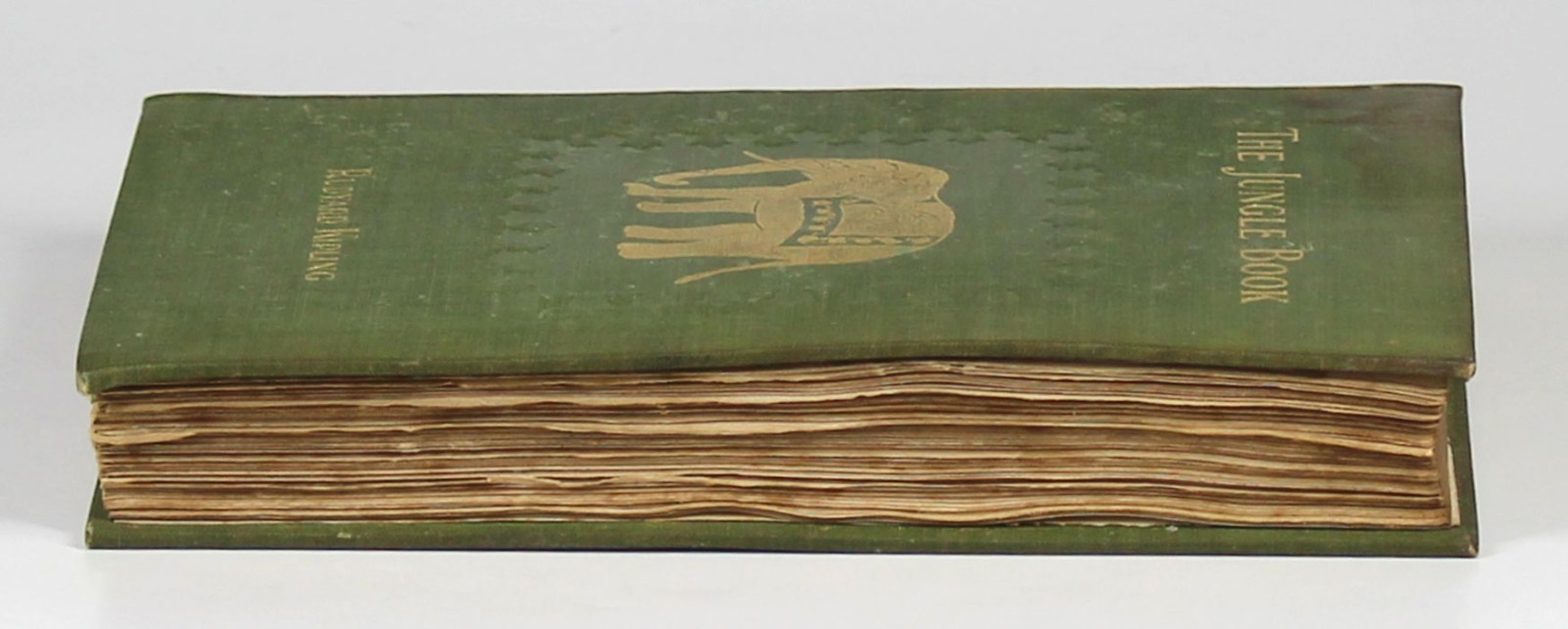 The Jungle Book by Rudyard Kipling 1st American Edition 1894 The Century Co HC