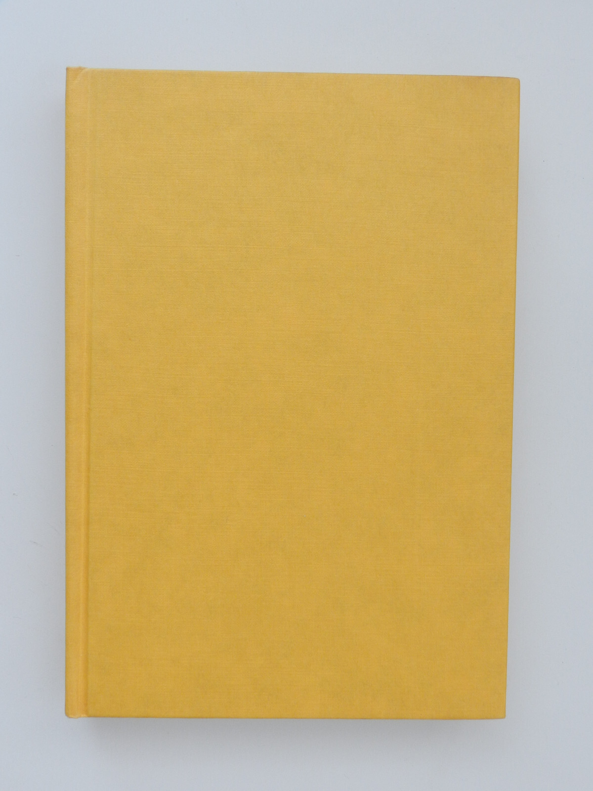 Barbara Frischmuth Die Ferienfamilie Roamn Residenz Verlag Buch