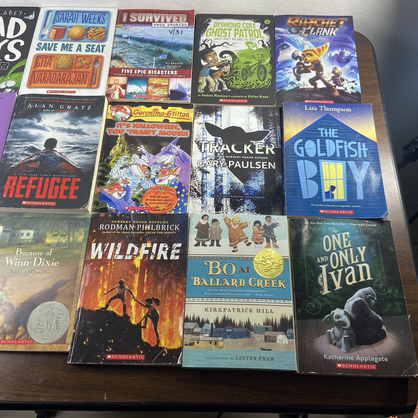 Lot 30 Chapter Books for 3rd – 6th Grade Class age 9-12 Paperback & Hardcover