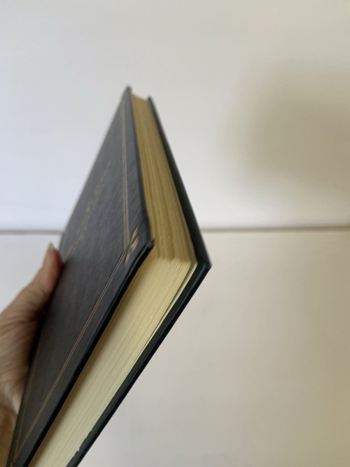 The Scarlet Letter ~ Nathaniel Hawthorne First Edition Reprint(Nelson Doubleday)