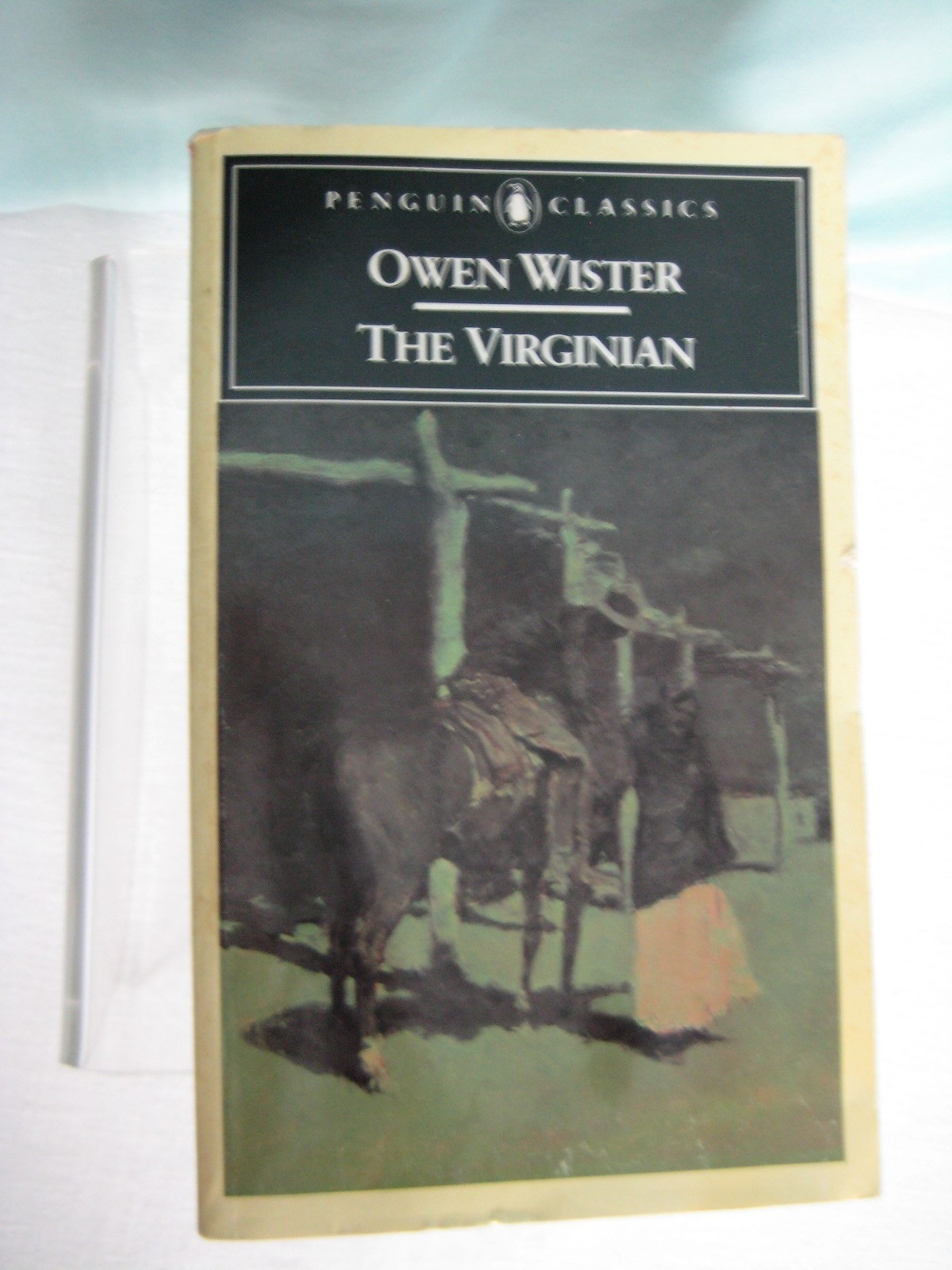 the Virginian a Horseman of the Plains by Owen Wister Classic Paperback 454 pg