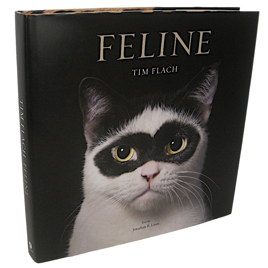 Feline Photographs by Tim Flach Text by Jonathan B. Losos 2025 Hardcover