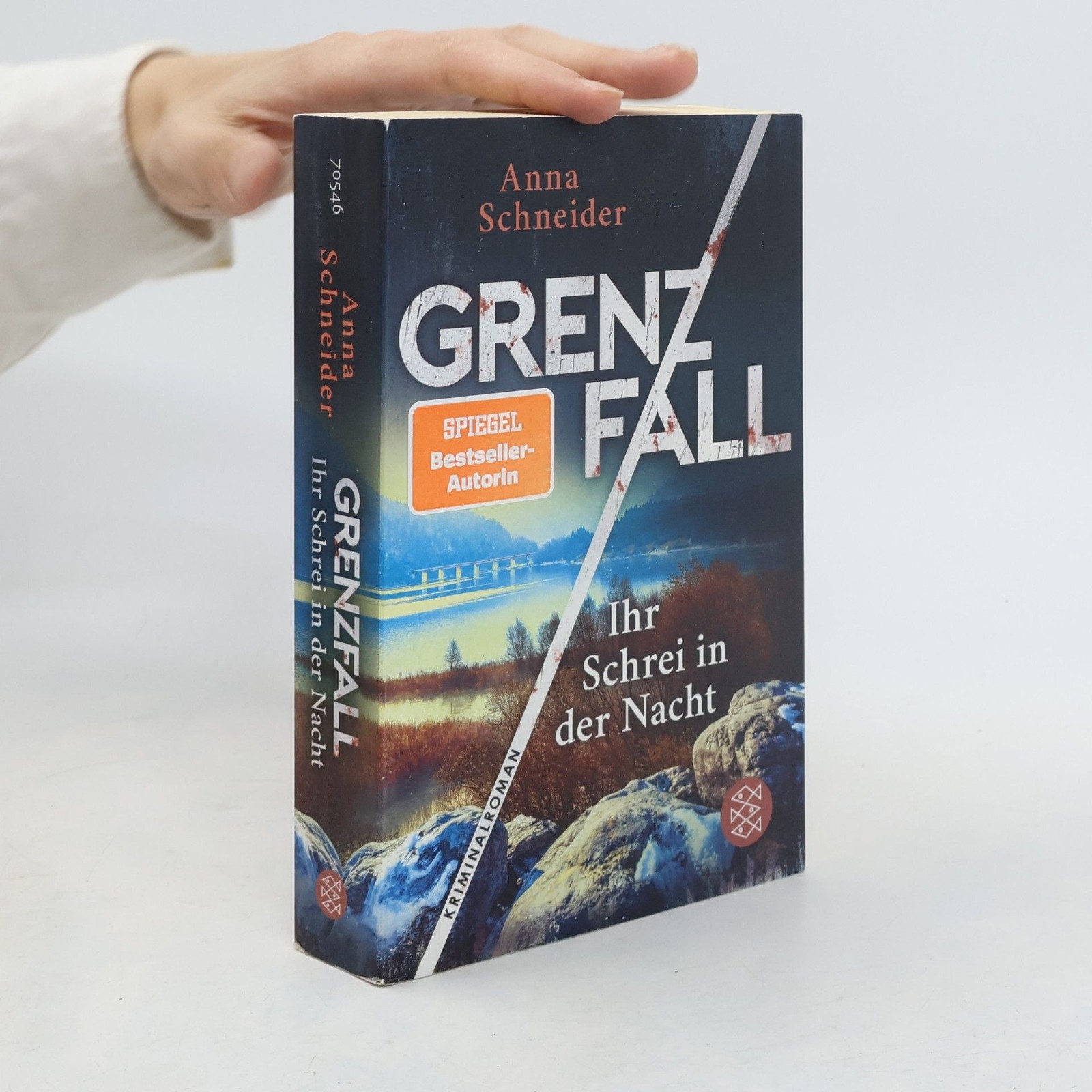 Grenzfall – ihr Schrei in der Nacht  |  Anna Schneider