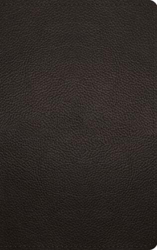 ESV Thinline Bible (Buffalo Leather, Deep Brown): New