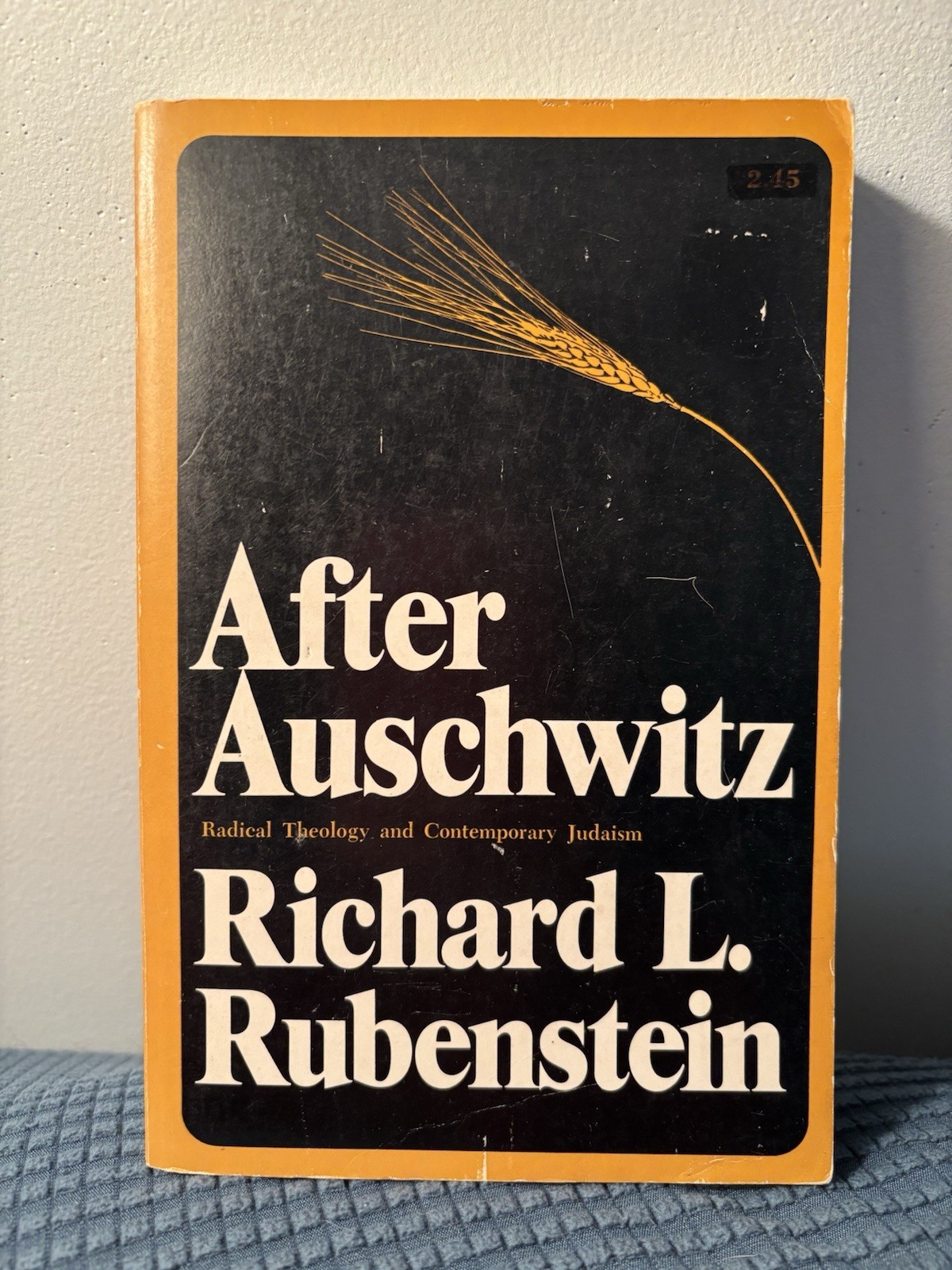 After Auschwitz Richard L Rubenstein 1966 Holocaust Paperback