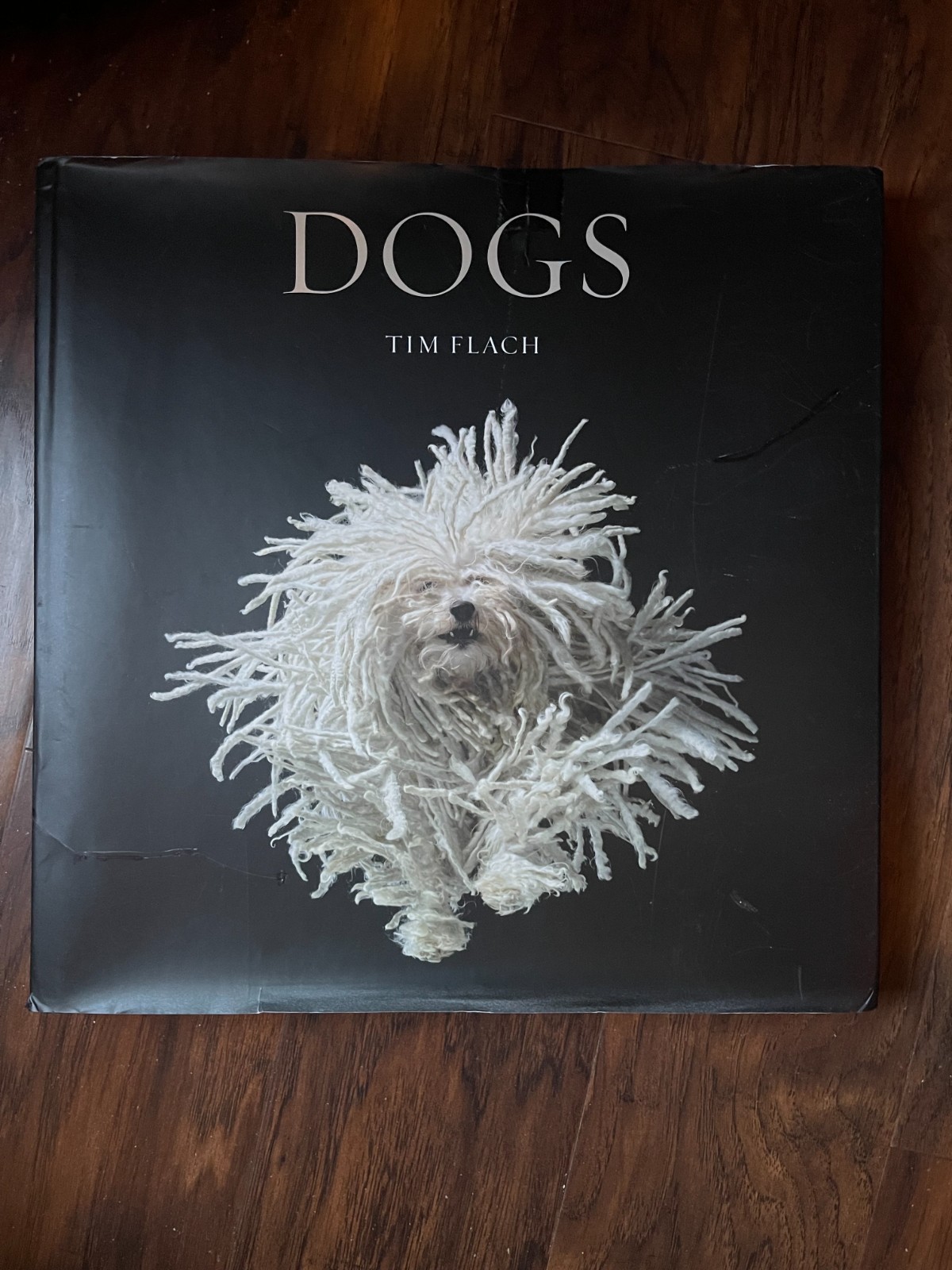 Dogs by Tim Flach (2010, Hardcover)