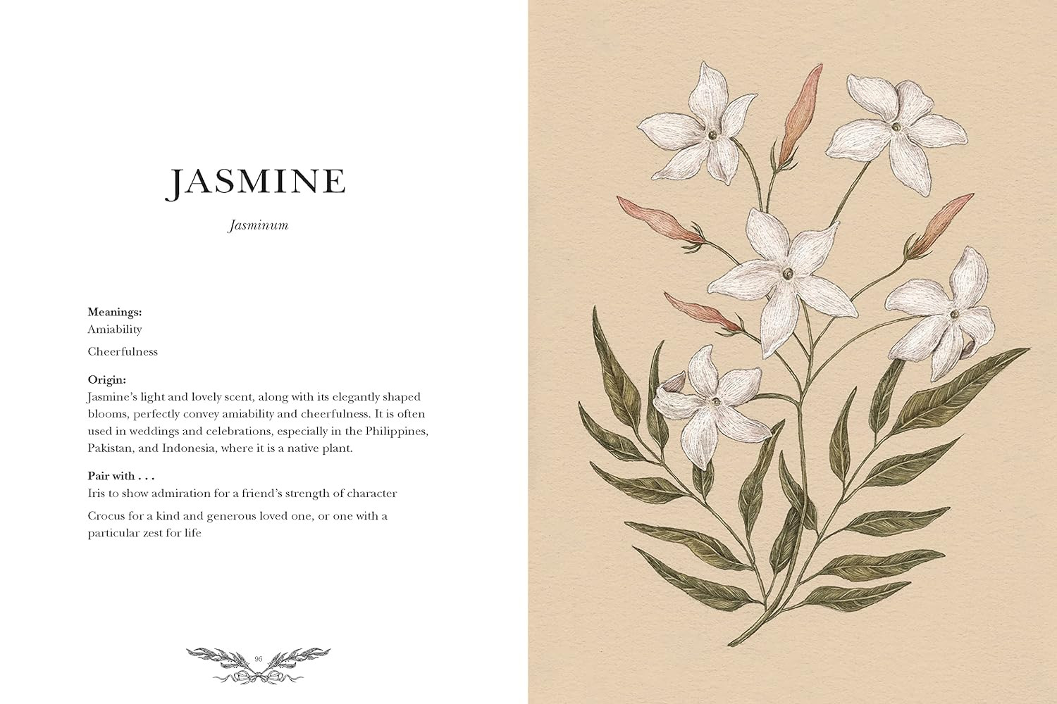Floriography: An Illustrated Guide to the Victorian Language of Flowers (Volume