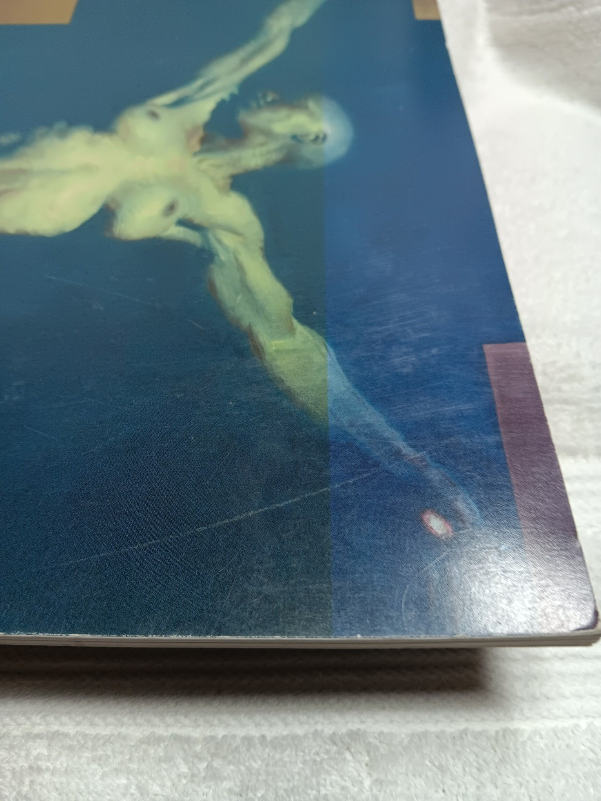 John Asaro Presents Bella Donna (2009 • Exhibition Catalog • HC • Good)
