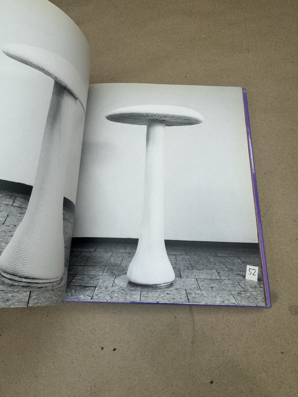 Fondorientierte Ausstattung (Cosima von Bonin, Elisabeth Fiedler) – Konzeptkunst