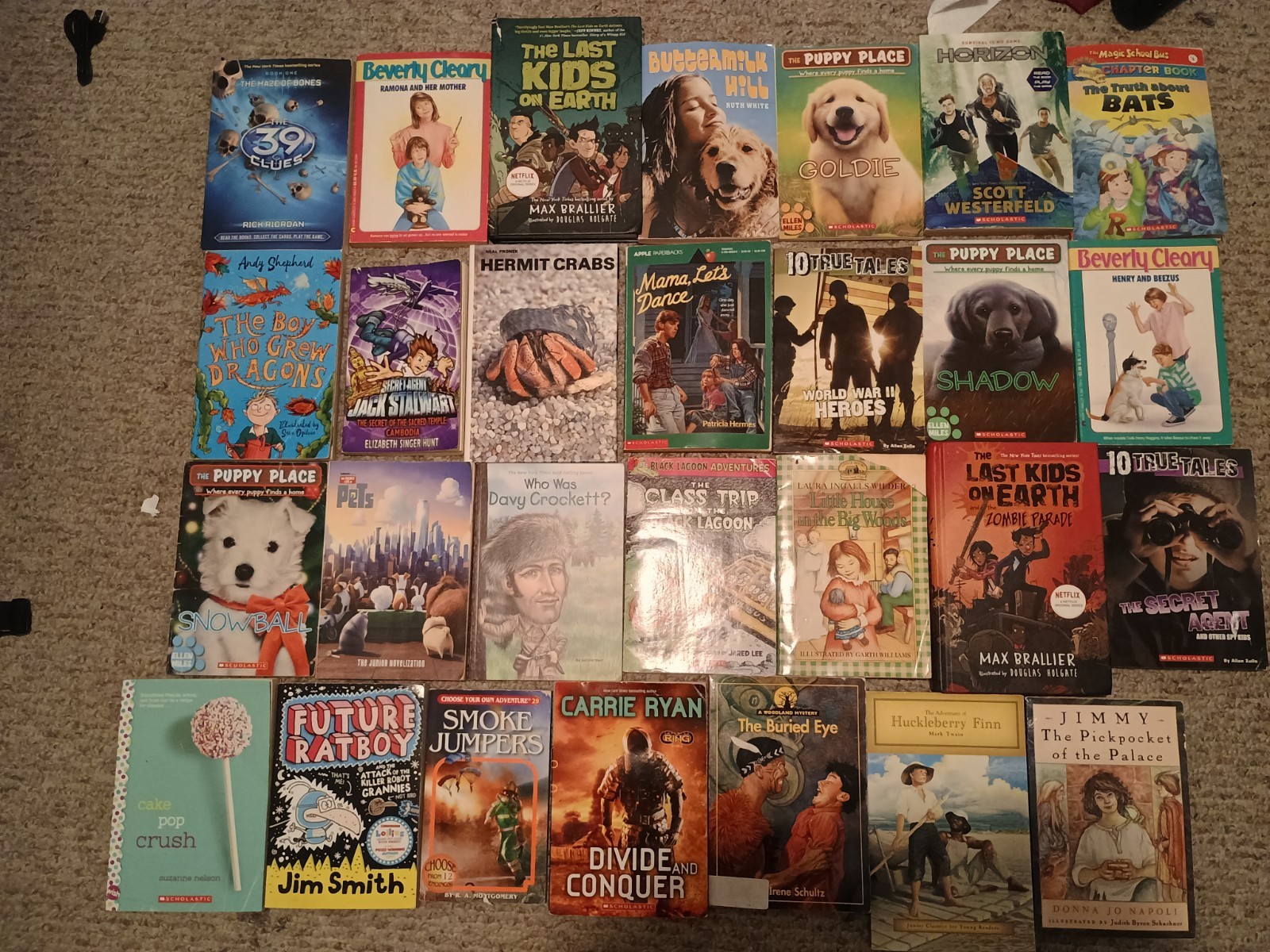 Lot of 28 Children’s Books (Good Condition)