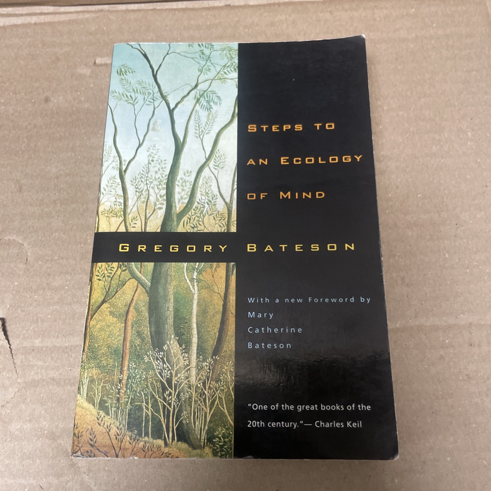 Steps to an Ecology of Mind: Collected Essays in Anthropology, Psychiatry