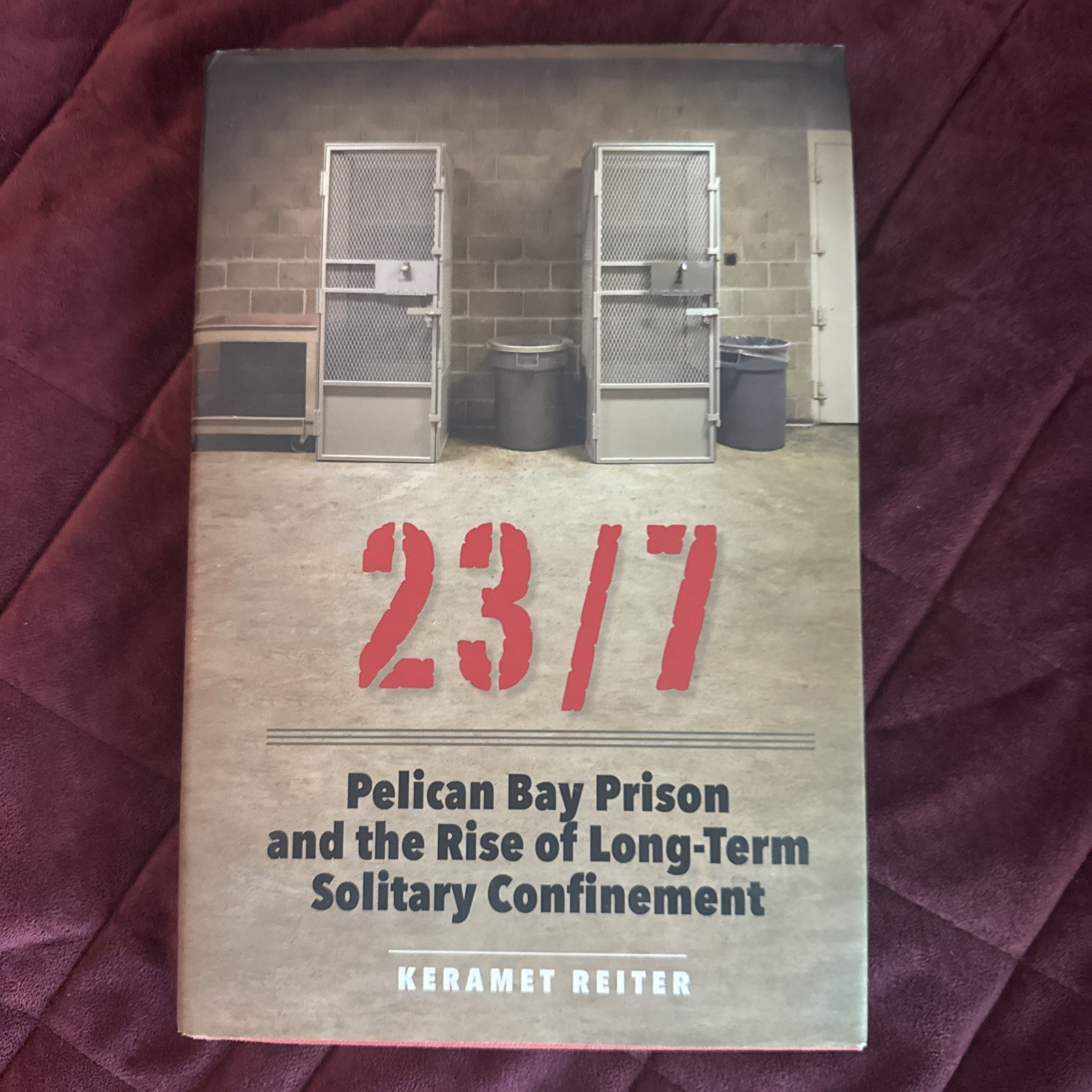 23/7 : Pelican Bay Prison and the Rise of Long-Term Solitary Confinement by…