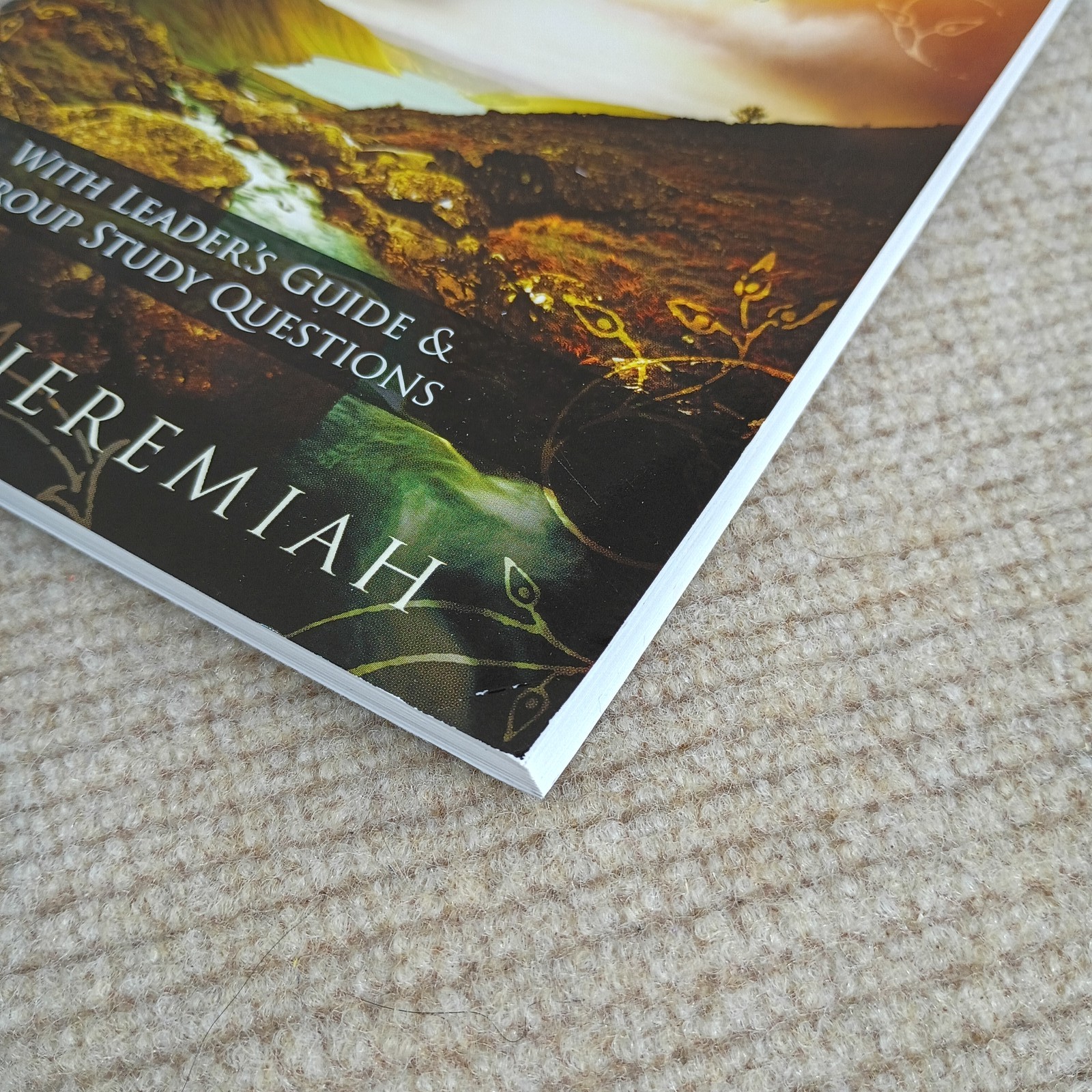 David Jeremiah Captured by Grace Study Guide Christian Book Paperback 2024