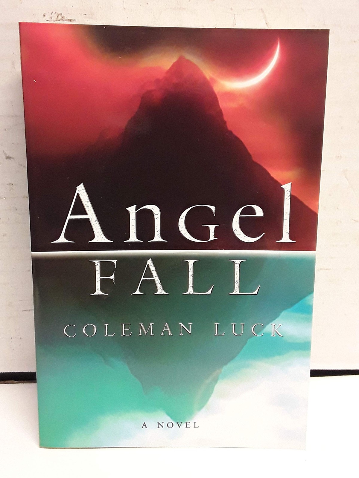 Angel Fall: A Novel – paperback Luck, Coleman