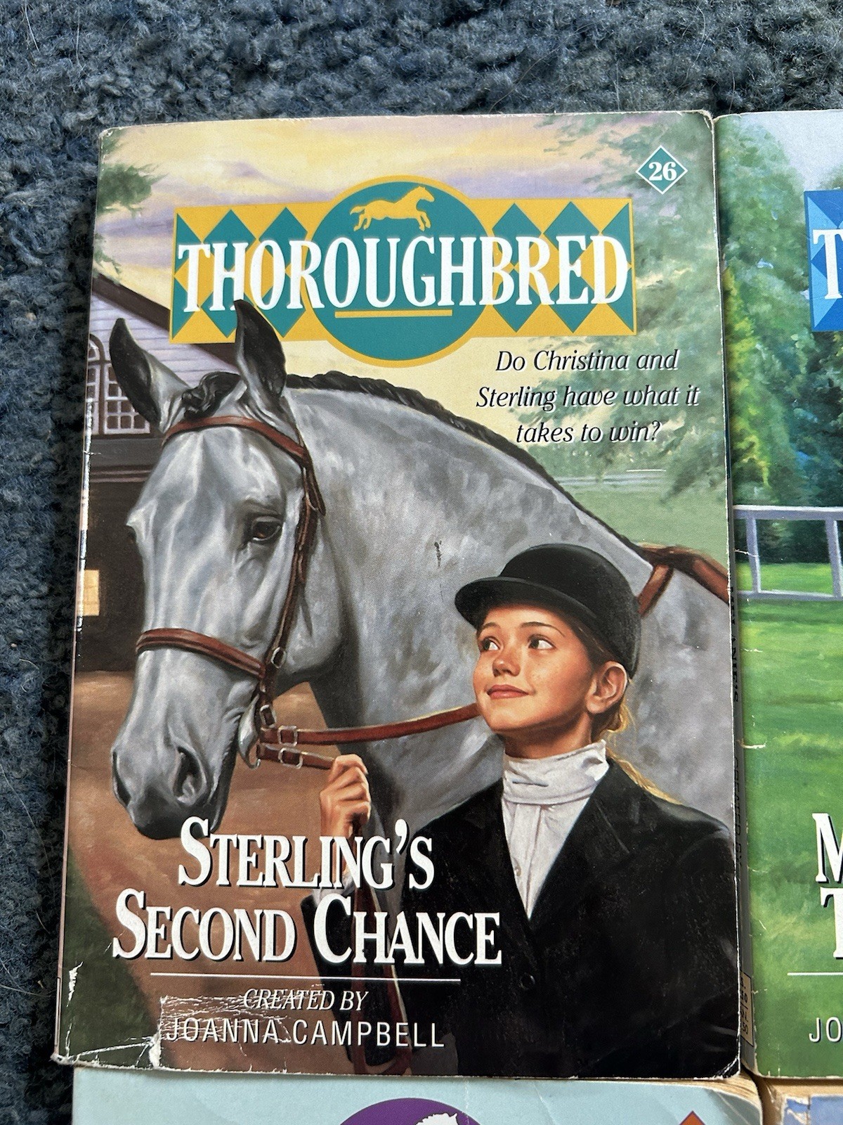Thoroughbred Series Book Lot 6 Paperback Joanna Campbell Young Adult Horses