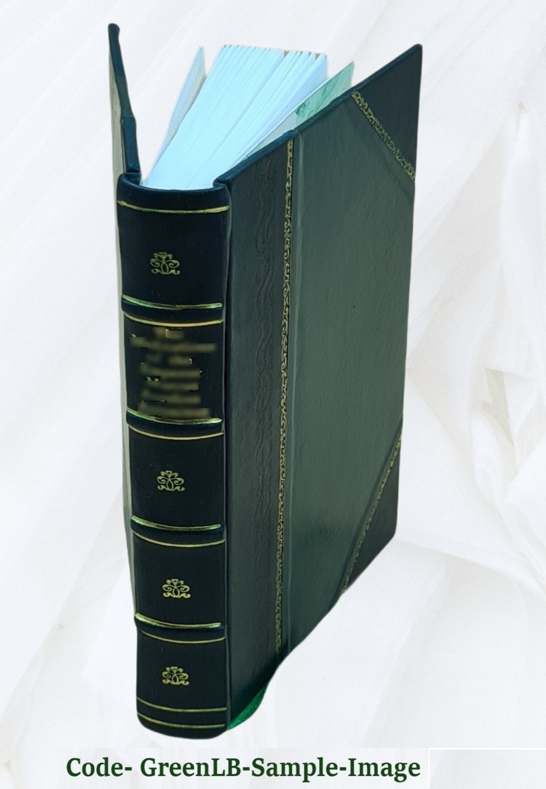 Through The Johnstown Flood 1890 By David J. Beale [Leather Bound]