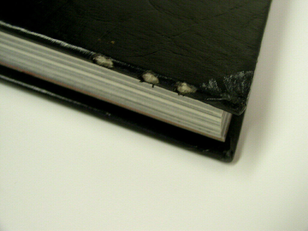 “The Last Word” 2002 Frederick High School Yearbook – Md – Maryland – 350 Pages!