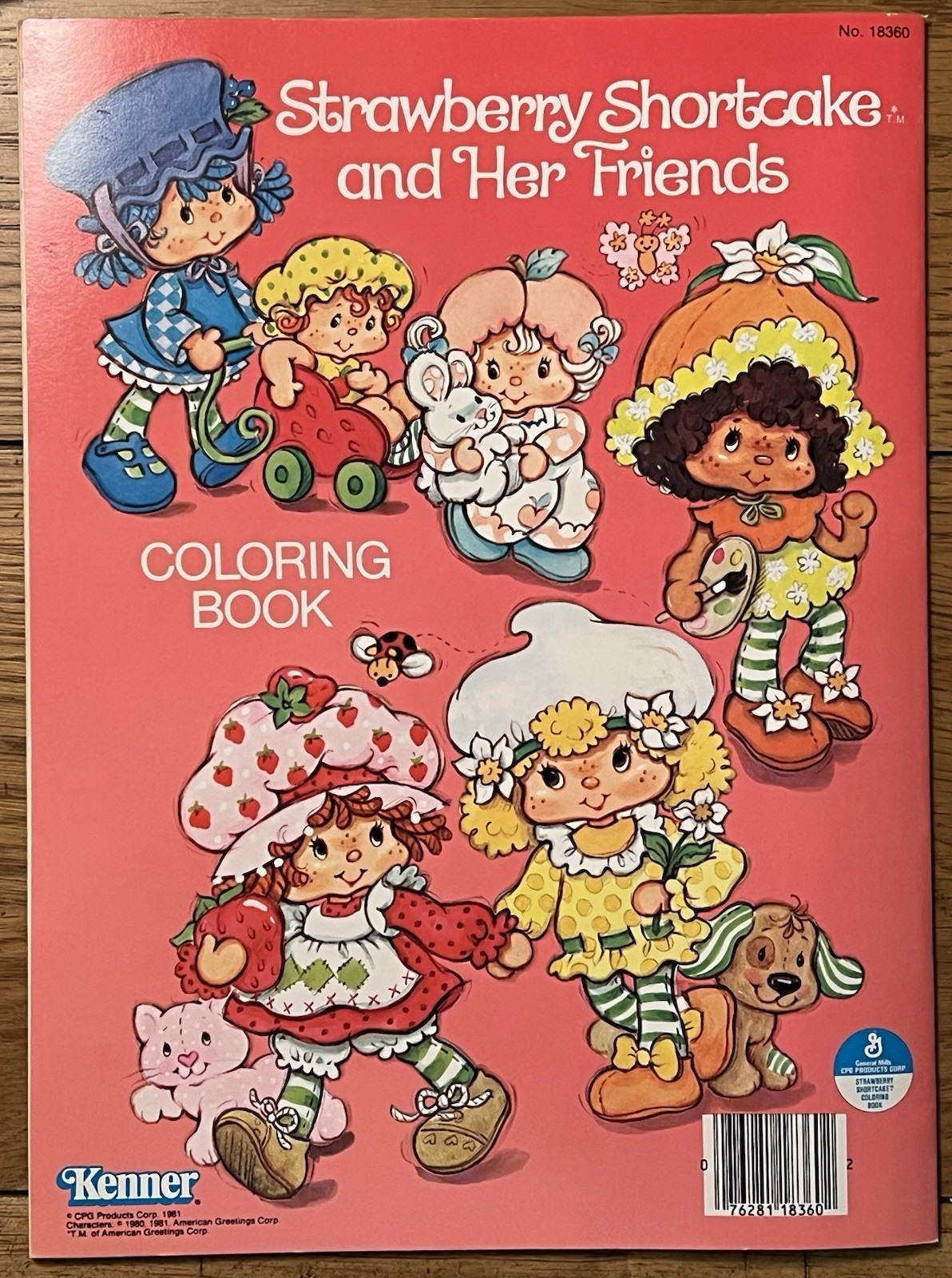 Vintage Kenner STRAWBERRY SHORTCAKE Coloring Book 1981 NOS Unused Friends House