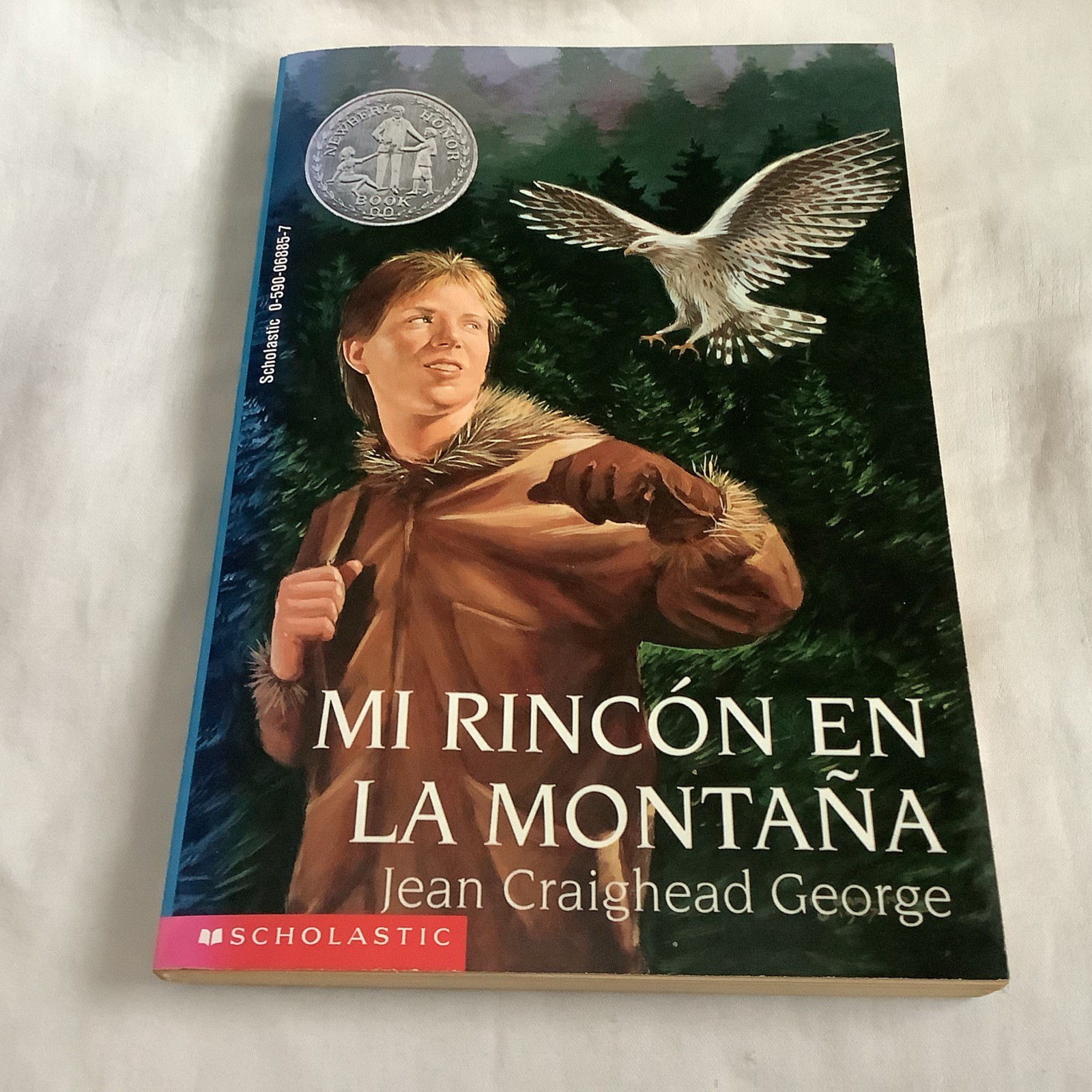 Mi Rincón en la Montaña (1997 PB) – **My Side of the Mountain in Spanish**
