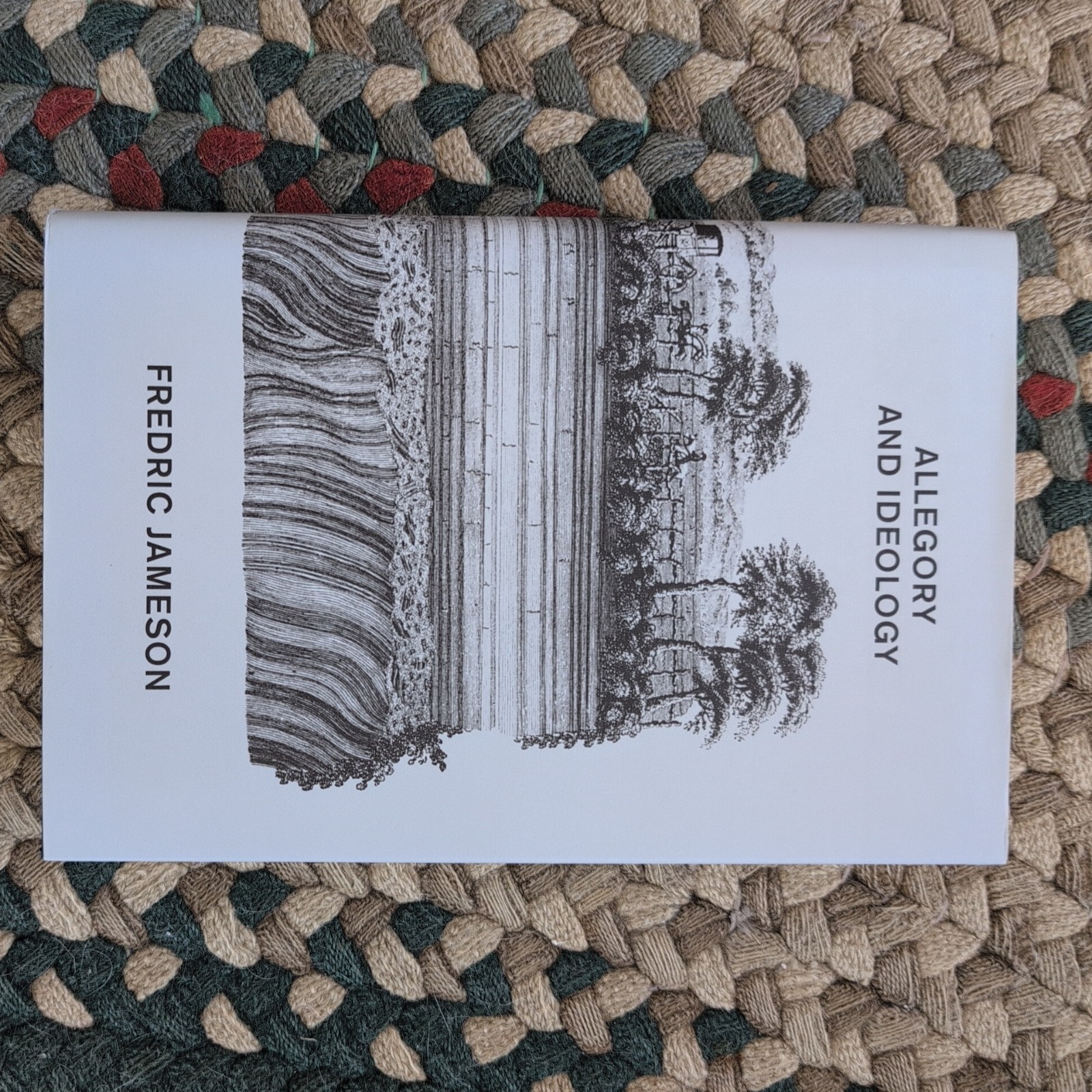 Allegory and Ideology by Fredric Jameson (2019, Hardcover)