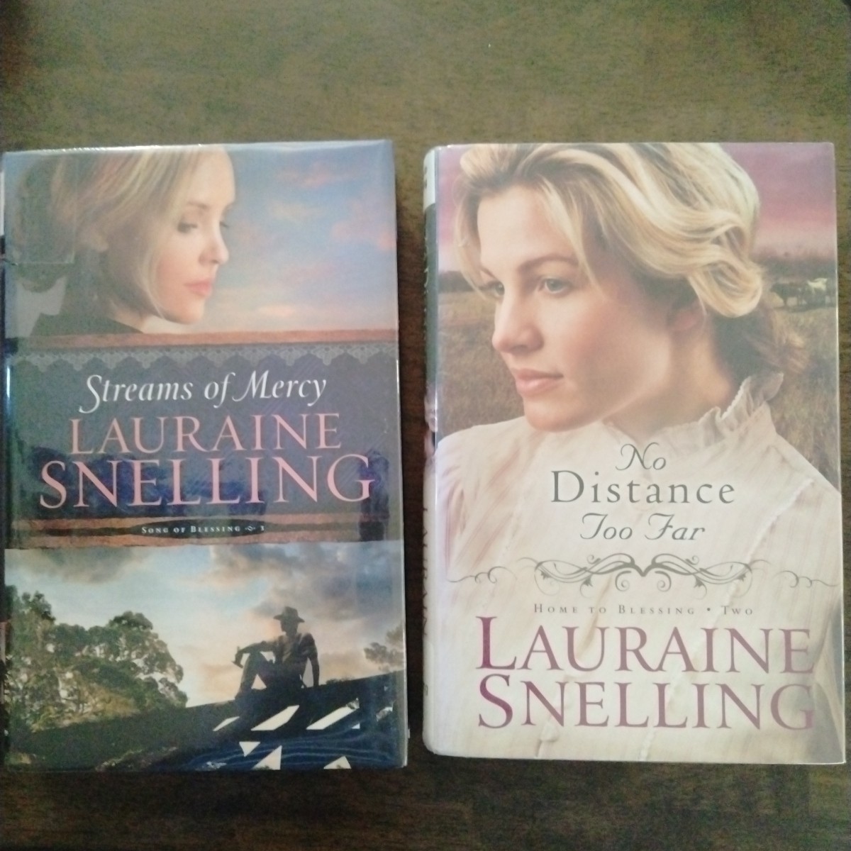 Lauraine Snelling book Pot Of 2 2010 Home To Blessing Song Of Blessing Streams