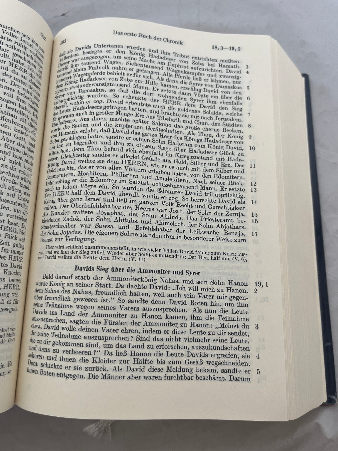 Die Bibel Hans Bruns 1973 6. Auflage German Illustrated Brunnen-Verlag