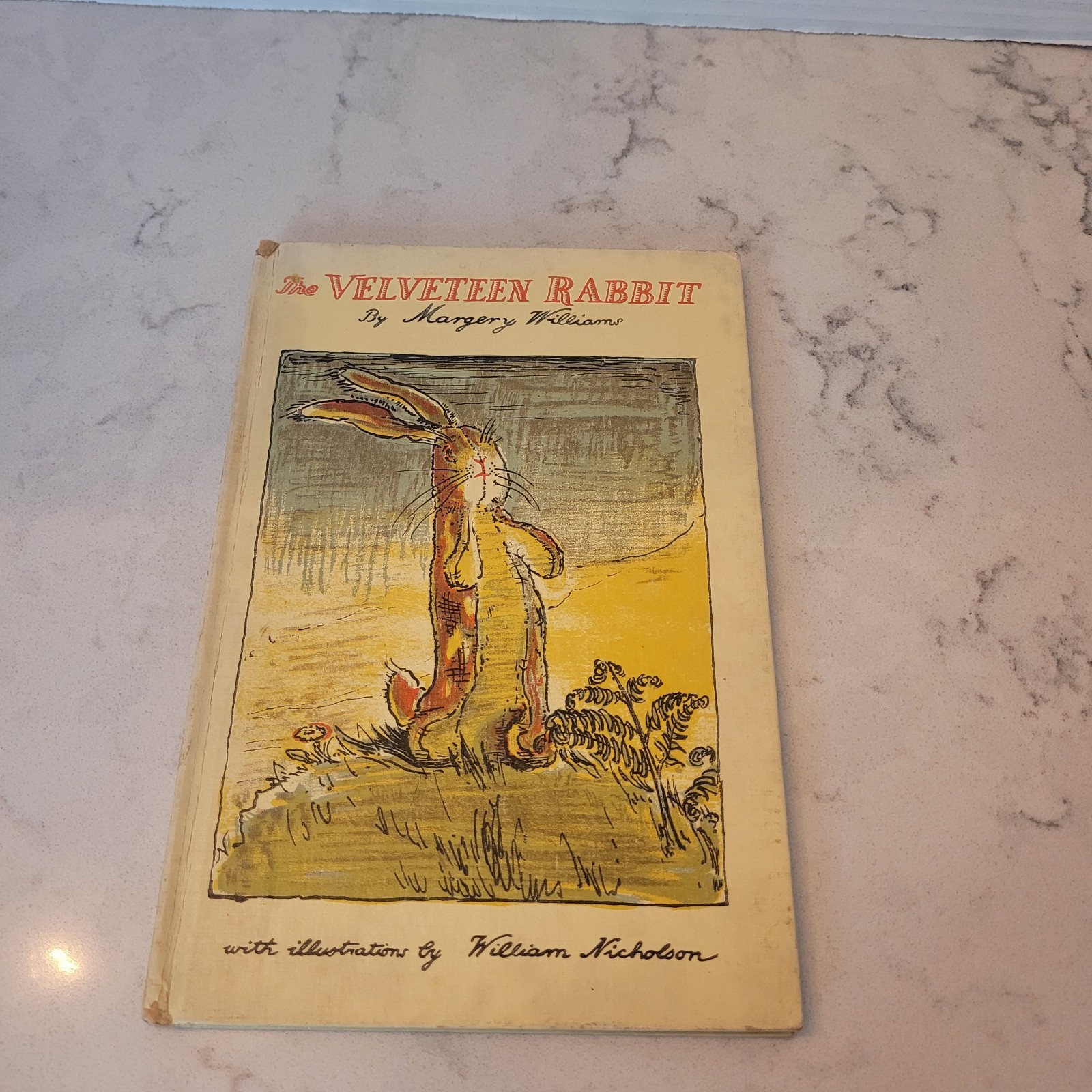 Vintage The Velveteen Rabbit HC Margery Williams William Nicholson Doubleday