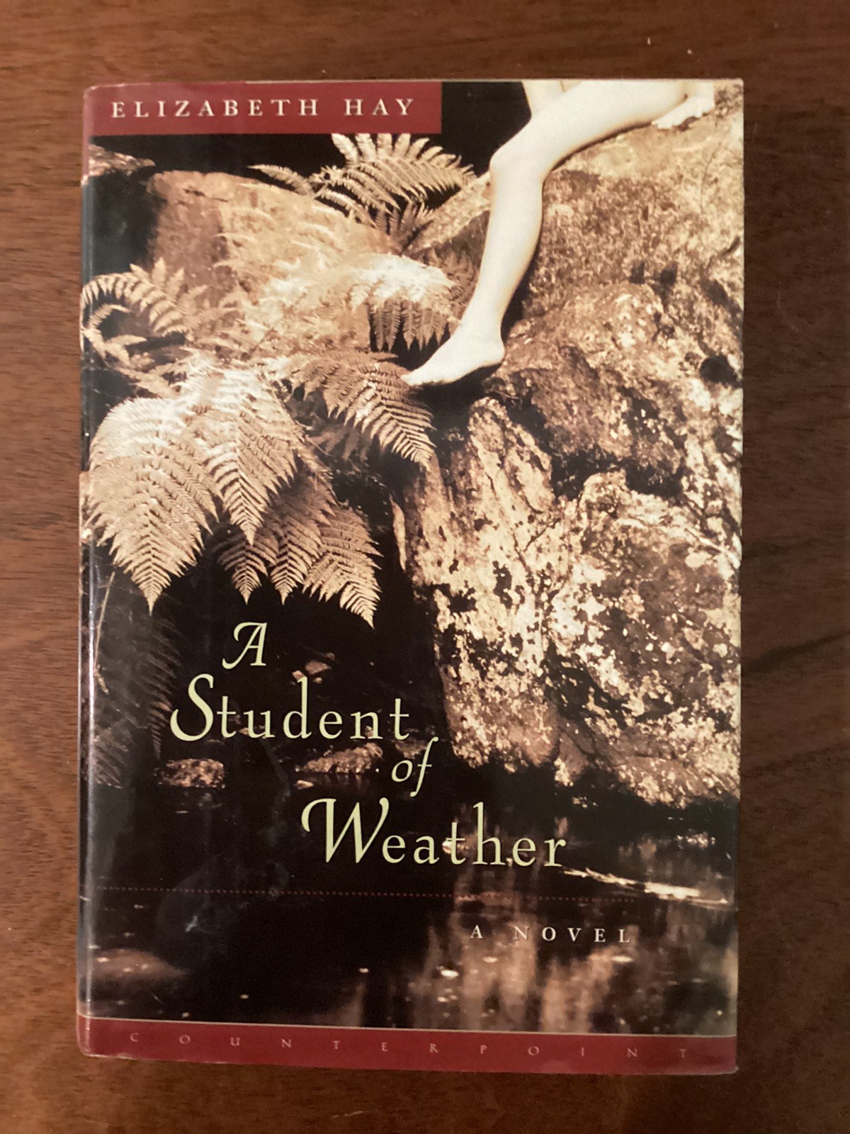 A Student of Weather by Elizabeth Hay (2003, HC) VG FIRST EDITION