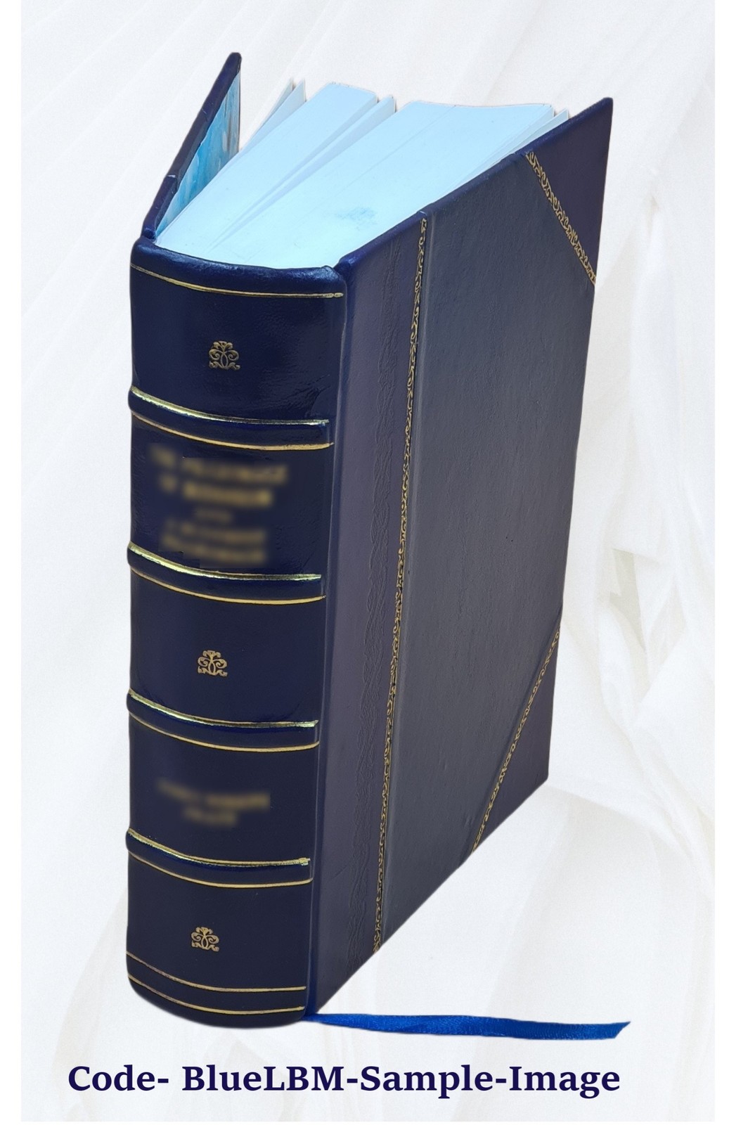 Die Petrefactenkunde auf ihrem jetzigen Standpunkte durch die Be [Leather Bound]