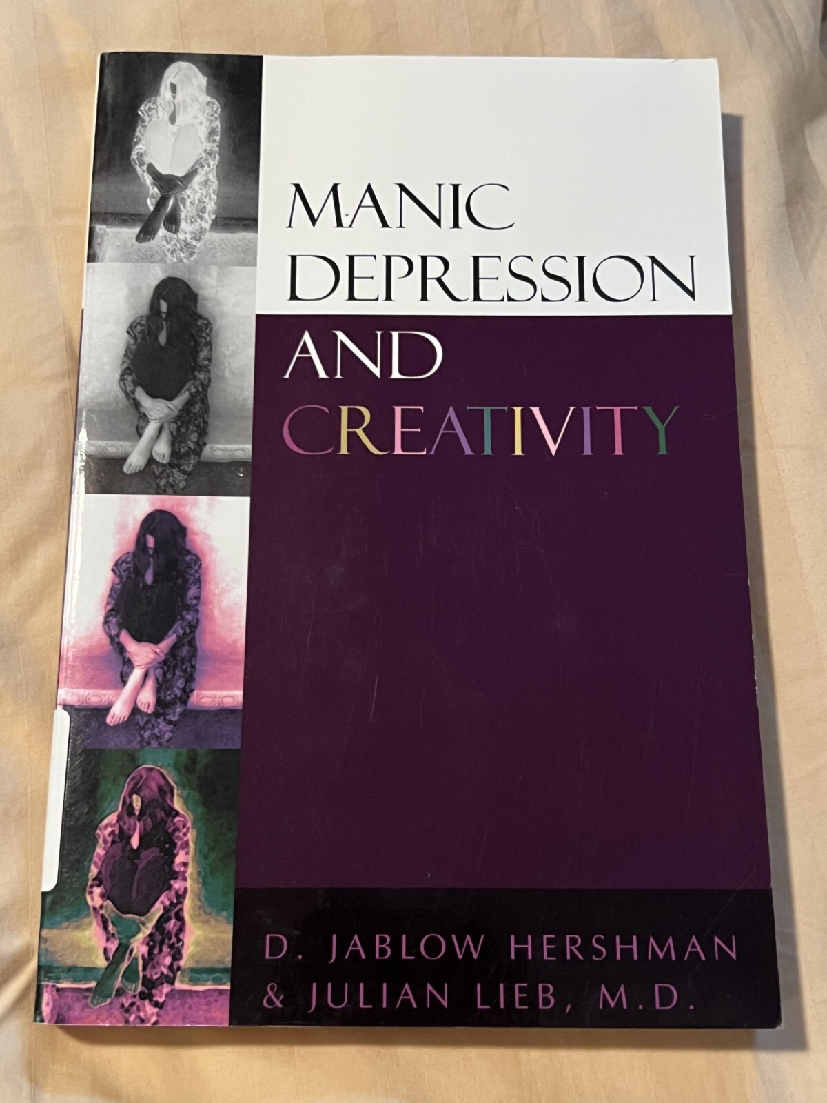 Manic Depression and Creativity – Paperback By Hershman, D. Jablow