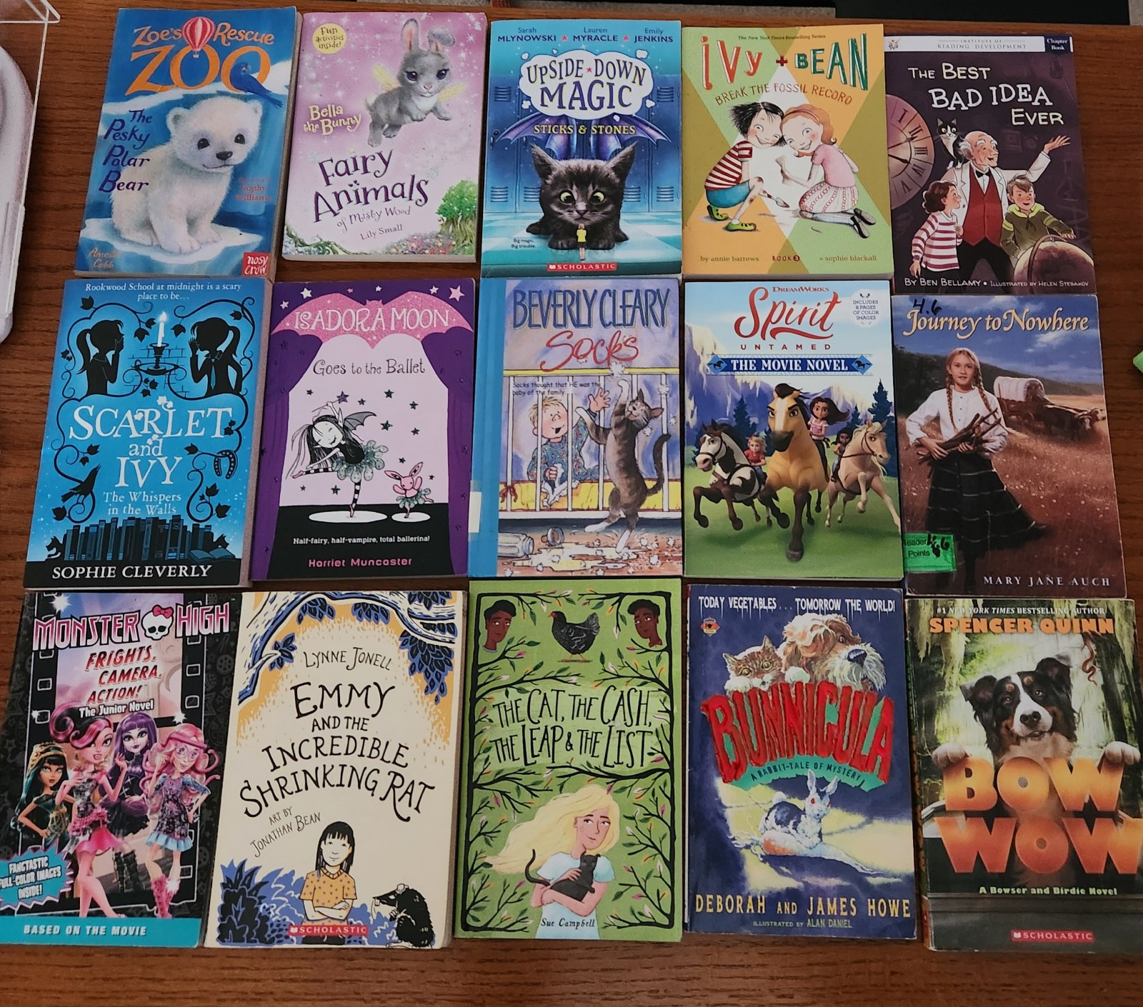 Lot 15 Girls Chapter Books Mixed Authors and Levels Grades 3-6