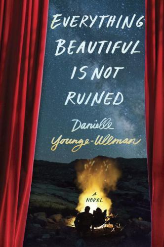 Everything Beautiful Is Not Ruined by Danielle Younge-Ullman (2017, Hardcover)