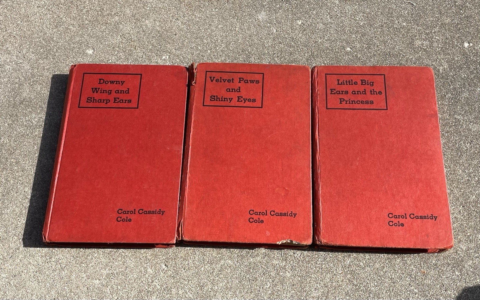 Lot 3 Goldsmith Carol Cassidy Cole Childrens Books Vintage 1928 Hardcovers 1st